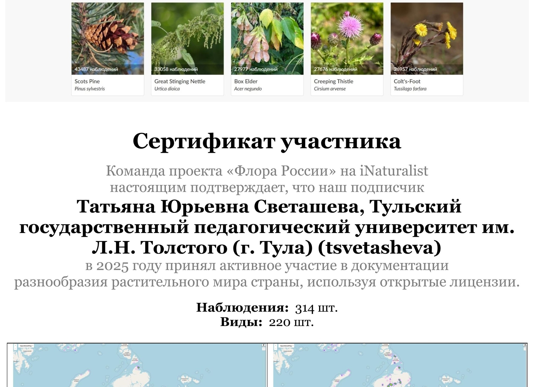 Ускоренное высшее образование в России: кто может получить?