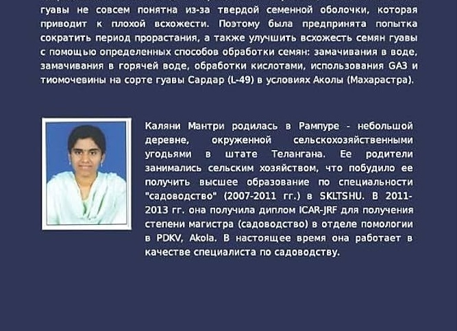 Диплом, который не работает: почему избыточное образование мешает экономике.
